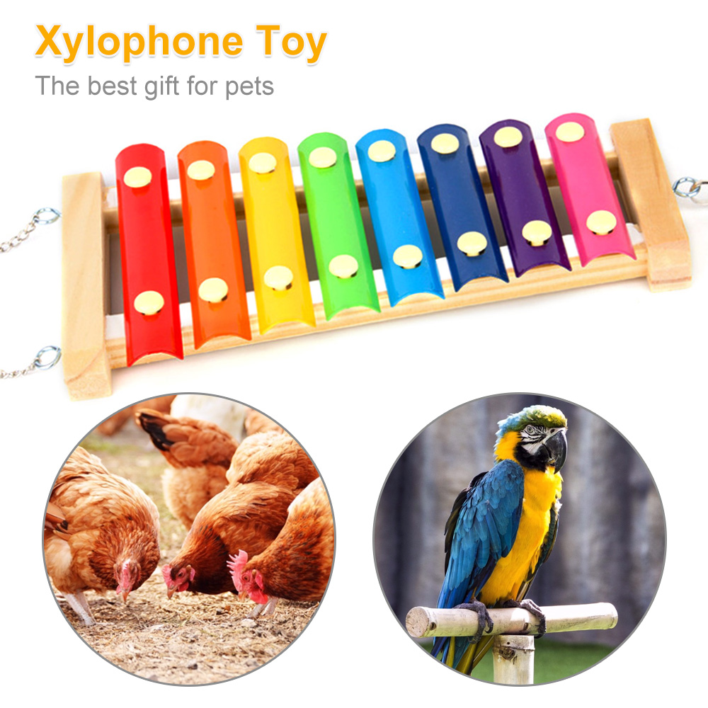นกไก่ระนาดของเล่นไม้ Suspensib - Musical Instrument Harmonium บทวิจารณ์และราคา